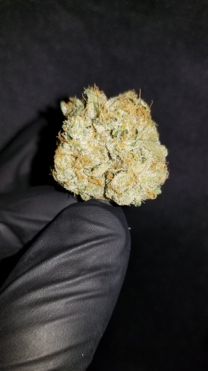 Og kush dinafem