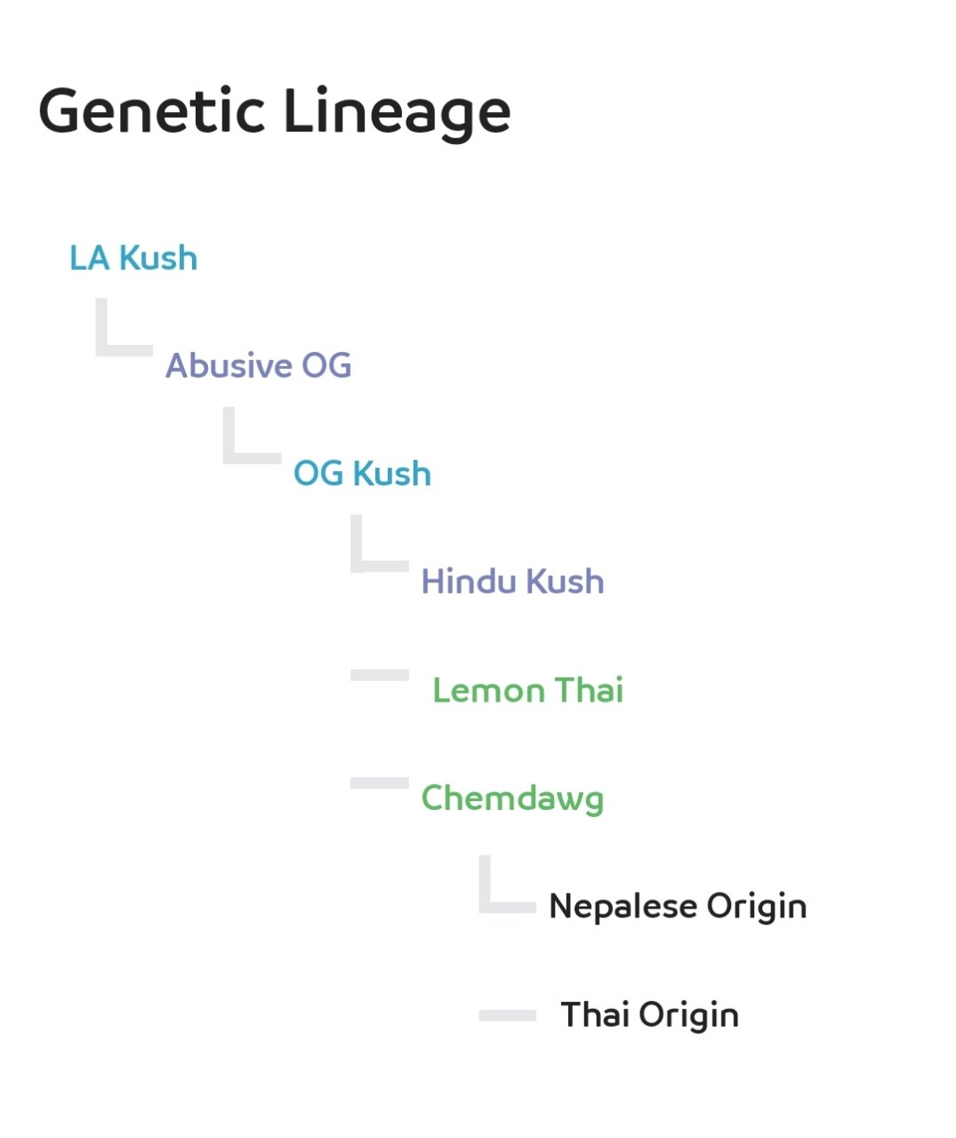 OG LA KUSH-LINEAGE