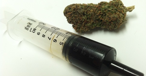 oil syringe and bud