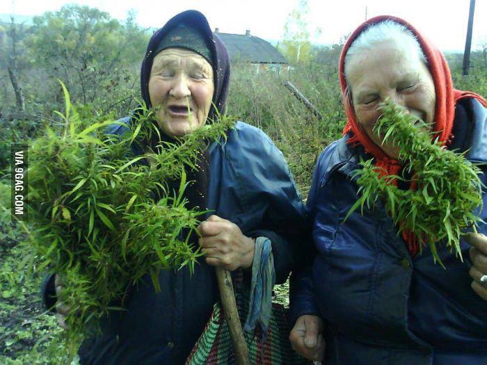 Older Ladies Enjoying Cannabis