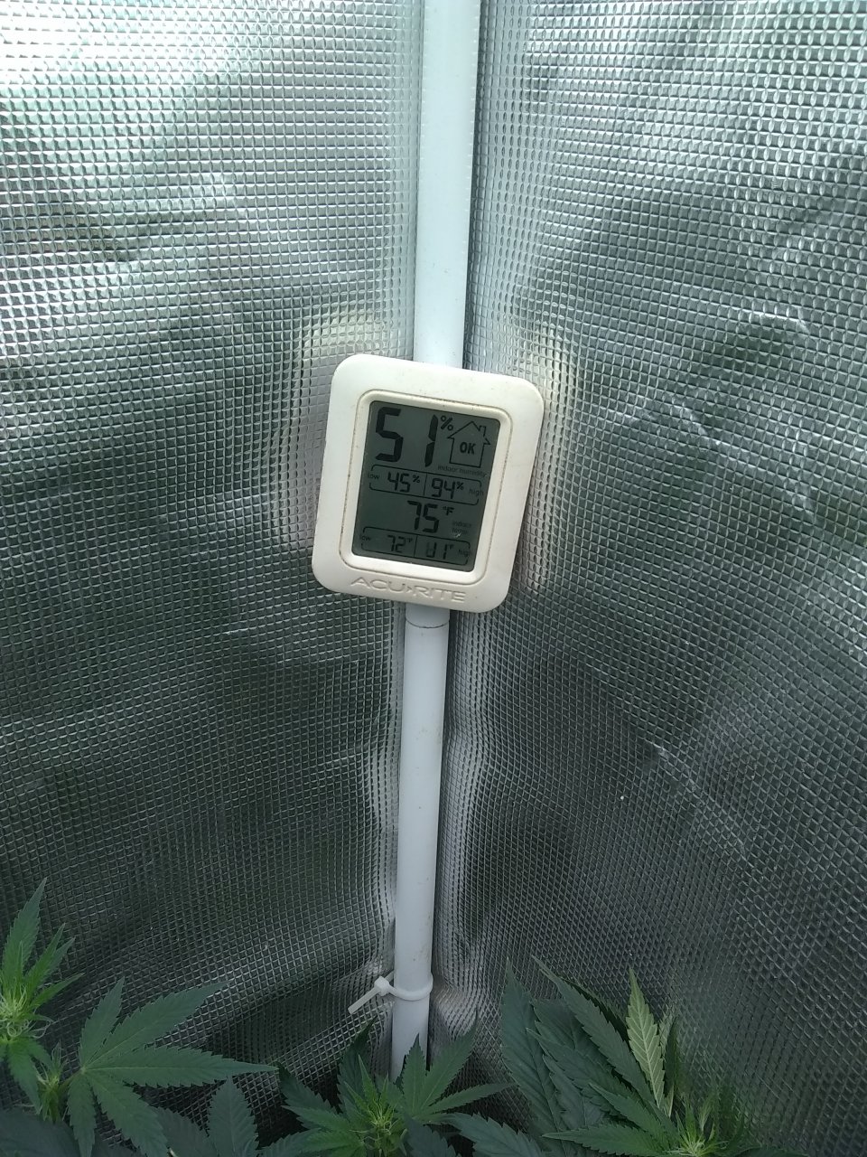 Open tent temp and rh