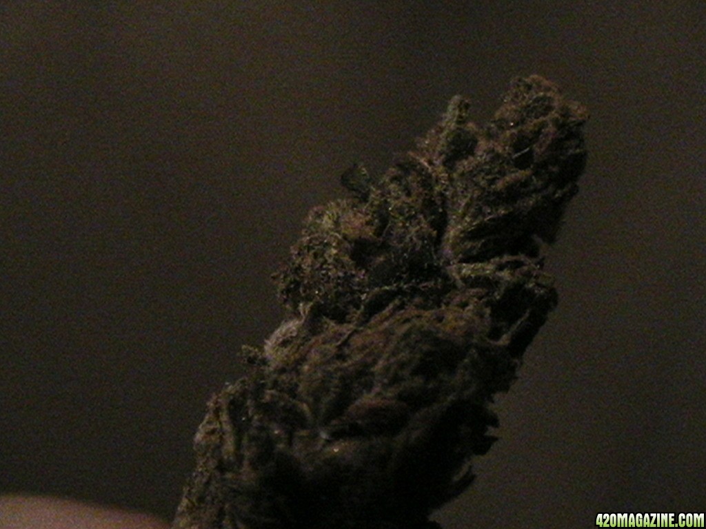 orange kush