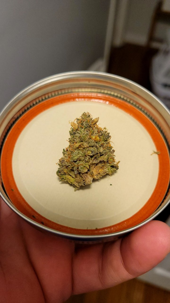 Orange sherbert 2