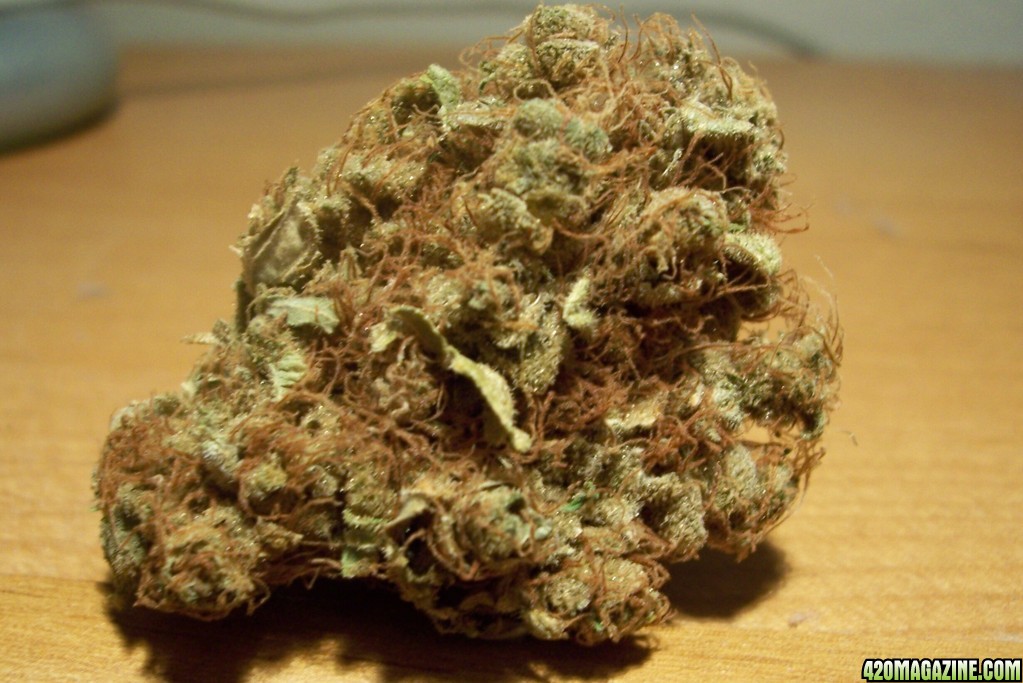 Orange Spice Bud