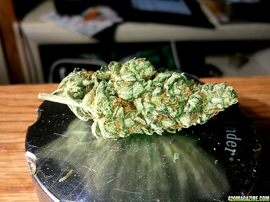 Organic O.G Kush