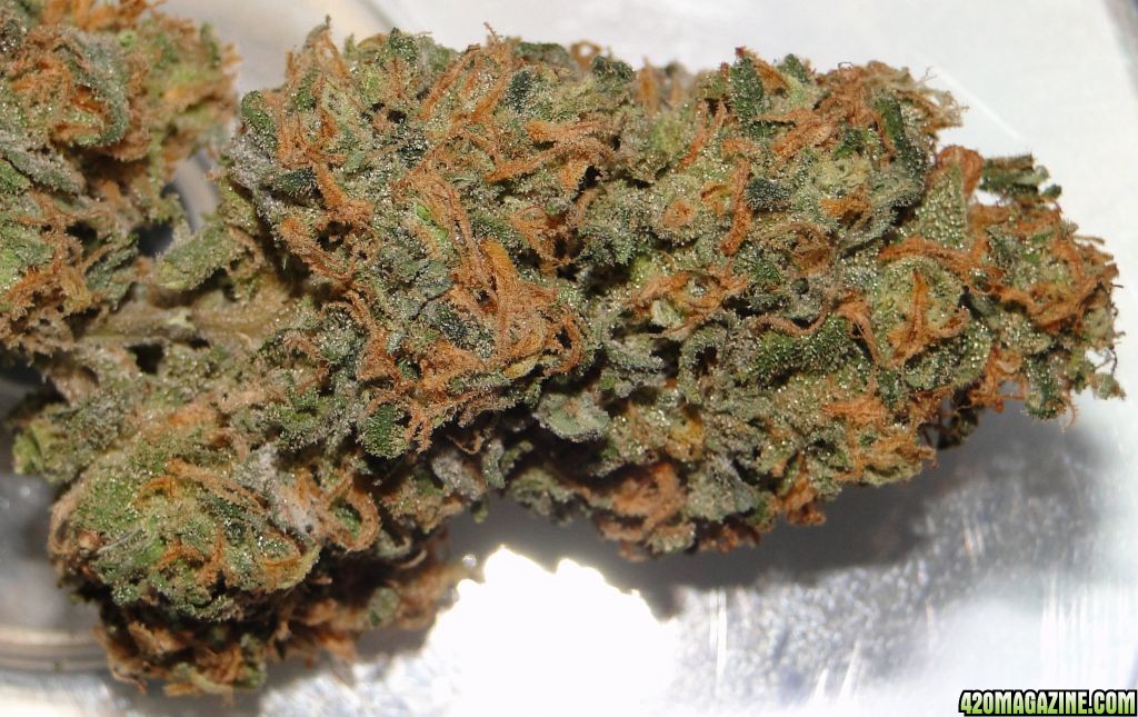 Organic_AK-47_