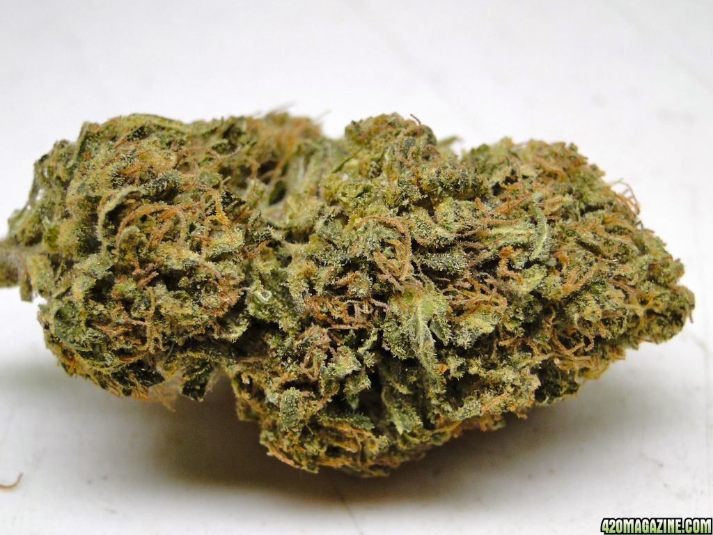 Organic_Blue_Thai