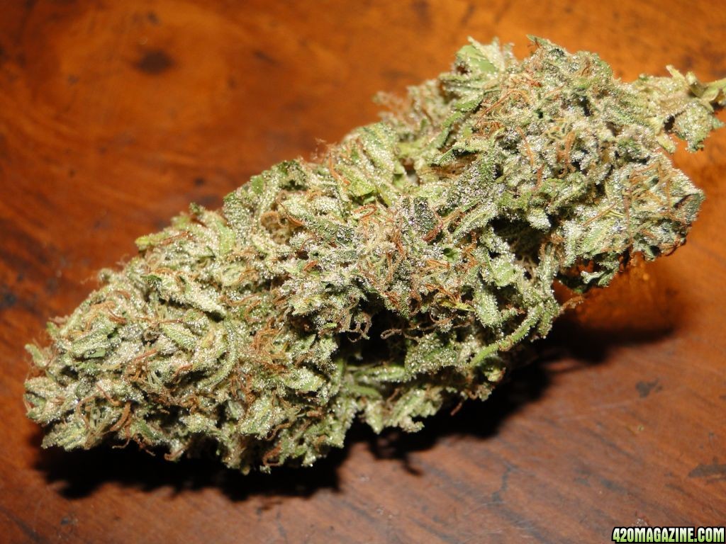 Organic_Blueberry_x_Cheese_Dried_Bud