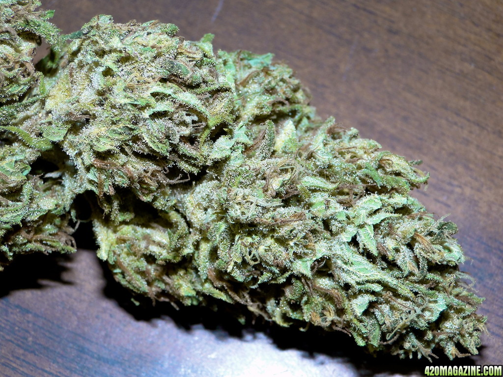 Organic_G_D_P_x_AK-47_Flower1