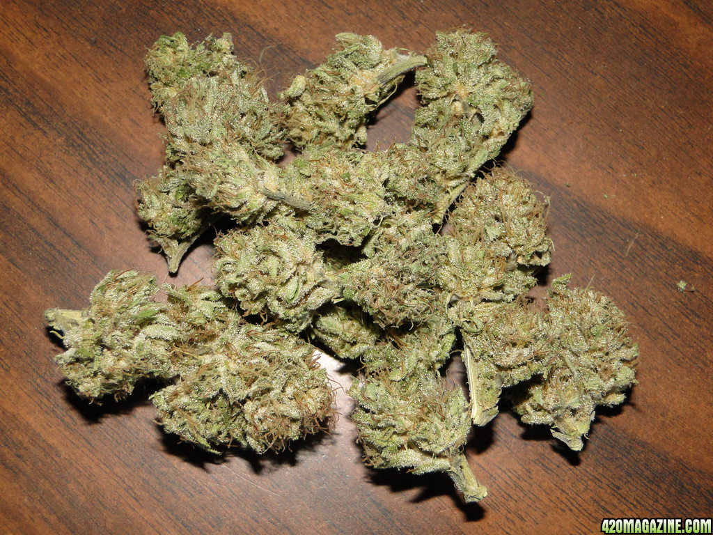 Organic_G_D_P_x_Sour_Diesel