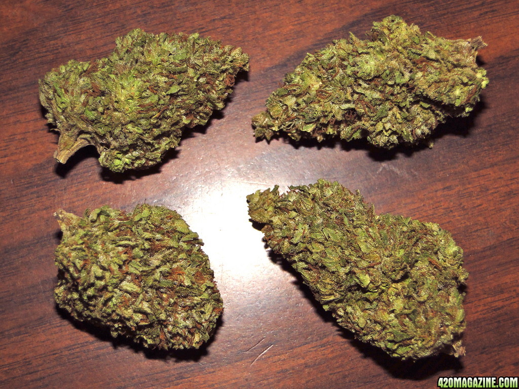 Organic_Grand_Daddy_Purple_x_AK-47_Nuggets