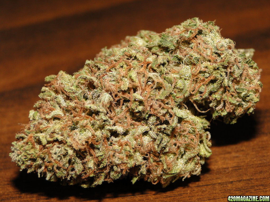 Organic_Grand_Daddy_Purple_x_O_G_Kush