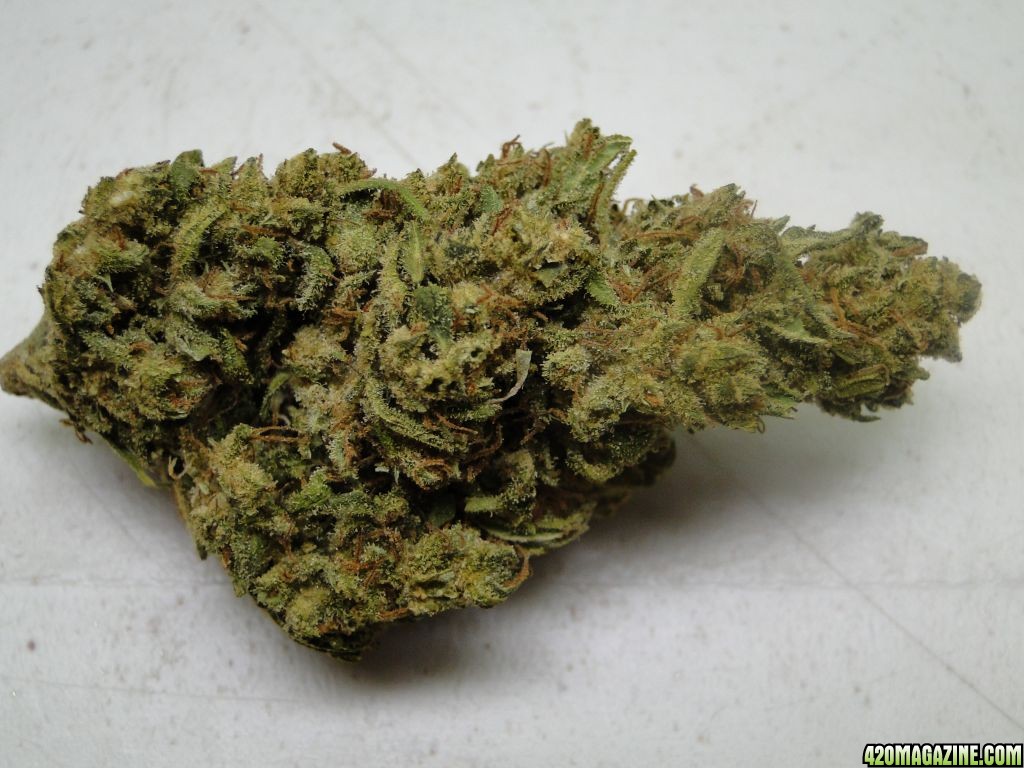 Organic_Silver_Mist_Super_Silver_Haze_x_Kali_Mist_