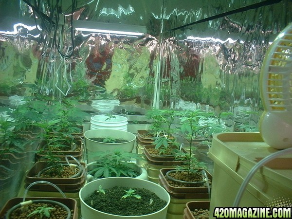 our grow room