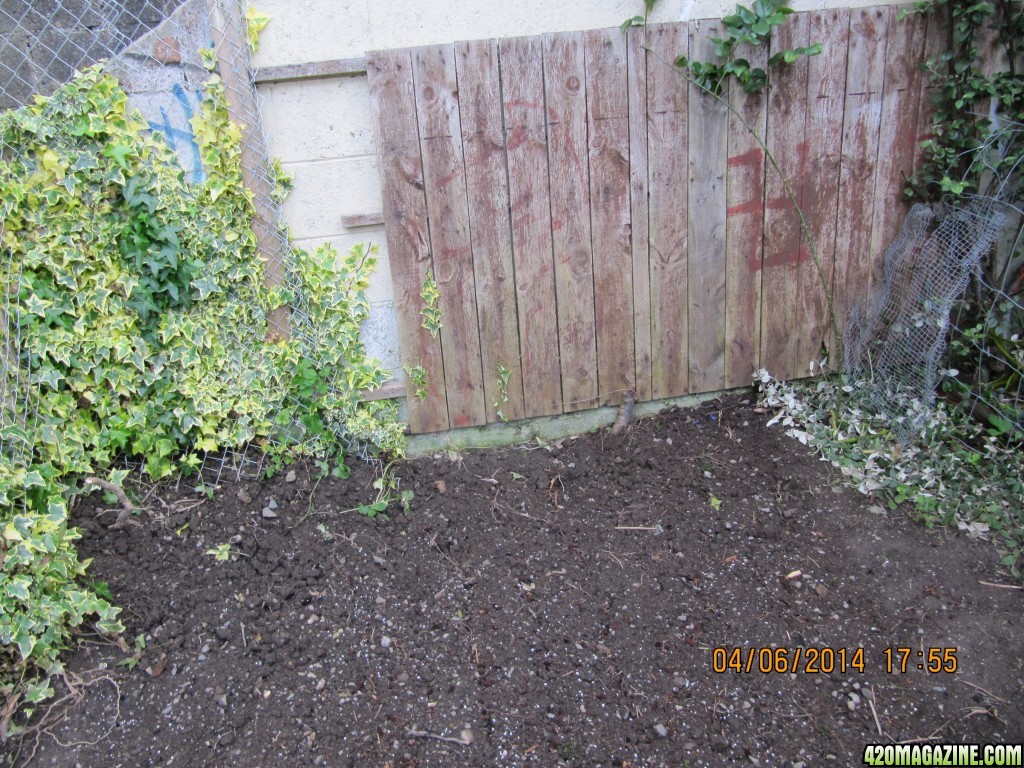 outdoor patch dug up and cleaned