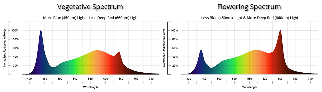 owcraft-Vegetative-and-Flowering-spectrum-compared.jpg