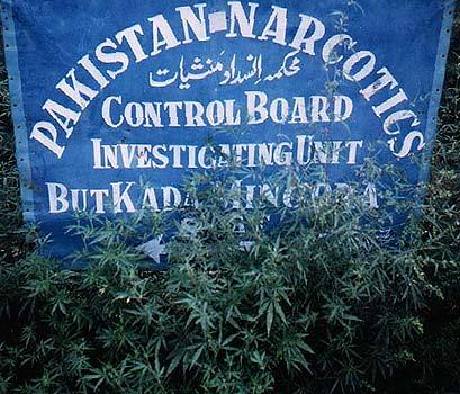 Pakistan Narcotics Control Board Investigating Unit