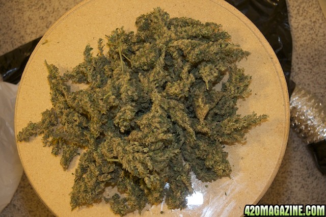 Papaya_Mountain_01