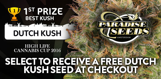 Paradise Seeds Check Out Offer