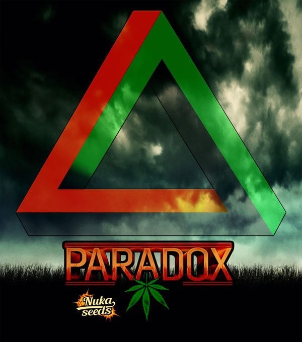 paradox-cannabis-seeds-box-2.jpg