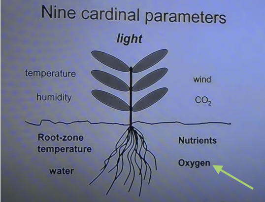 Parameters of Growth O2 Arrow.png