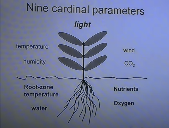 Parameters of Growth.png