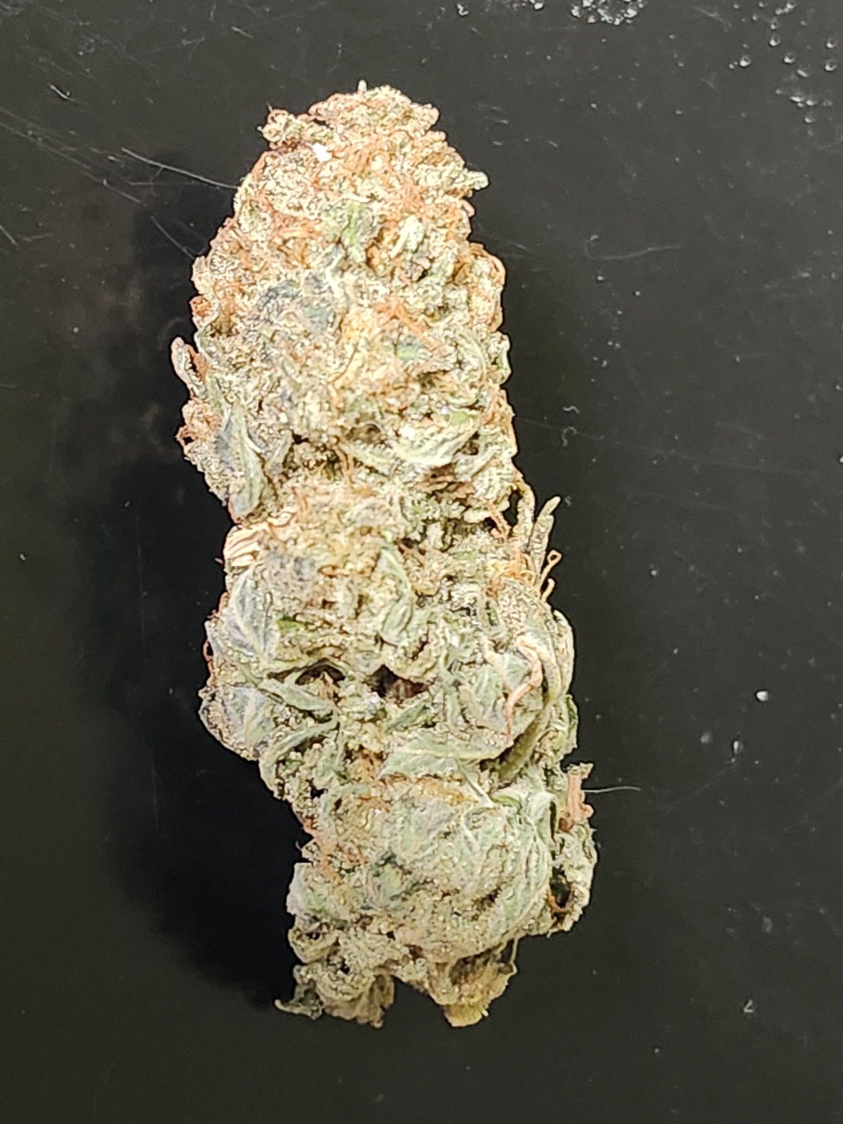 Peanut Butter Breath