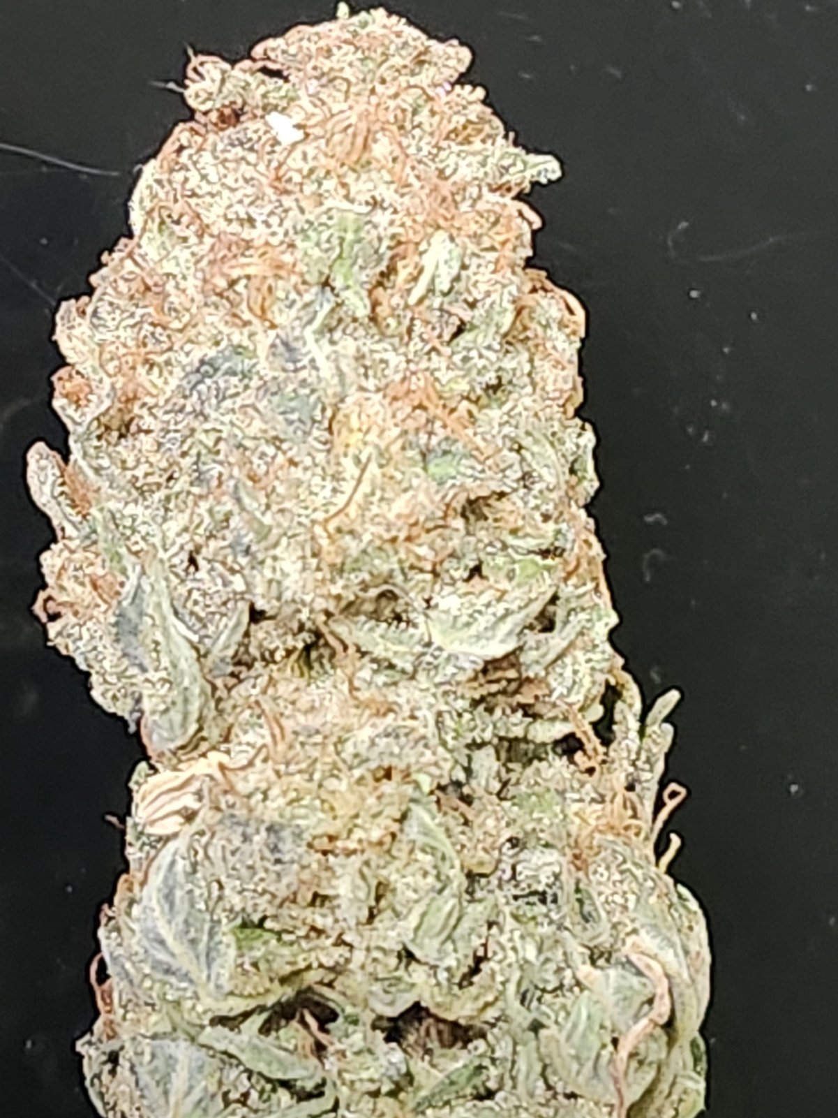 Peanut Butter Breath