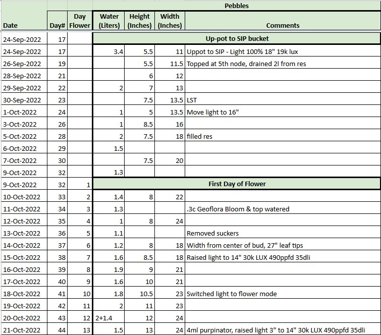 Pebbles grow tracker 20221021.jpg