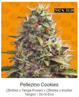 Pellezino Cookies.JPG