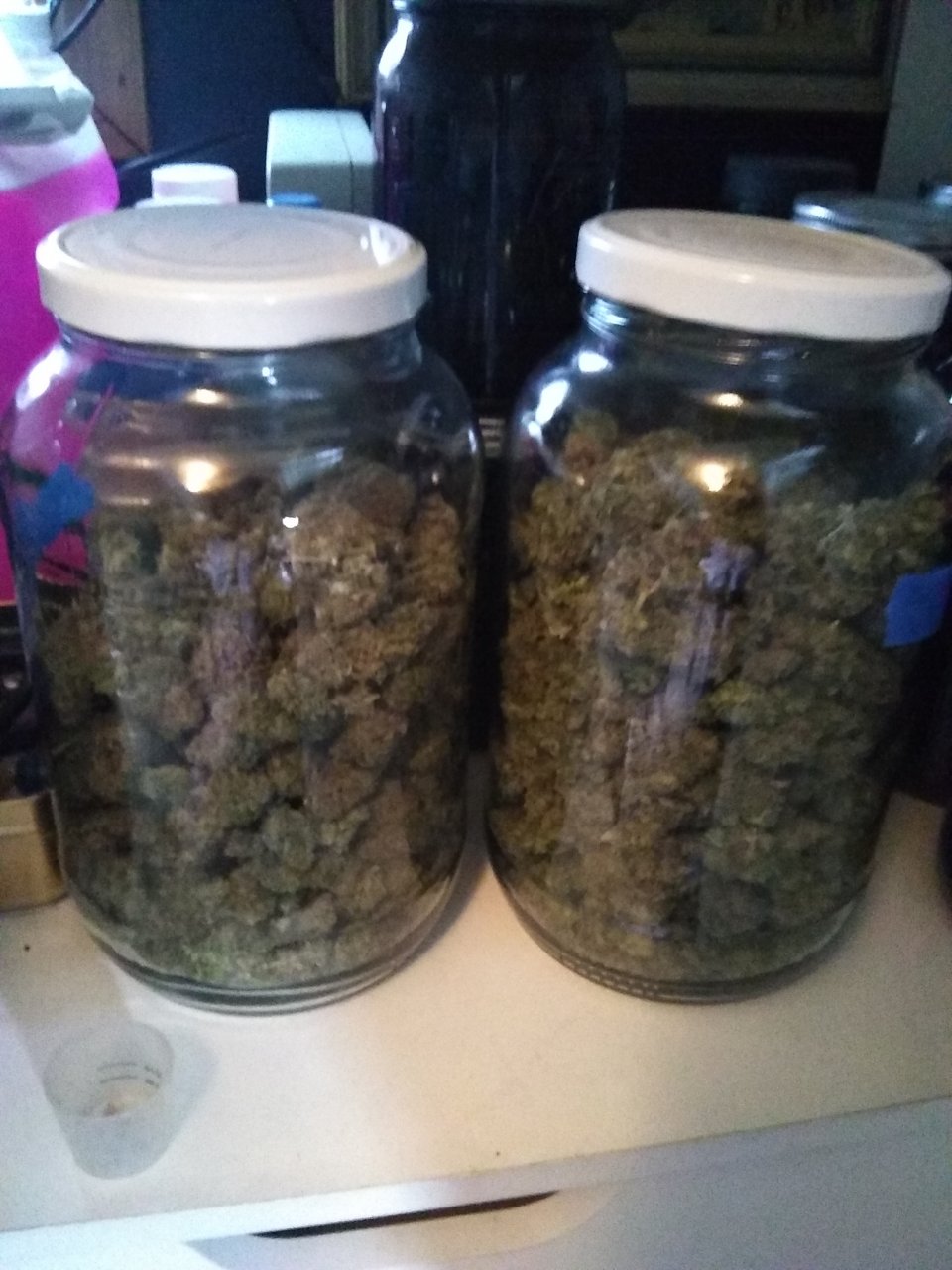 Peppermint Kush (l) Doug's Varin (r)