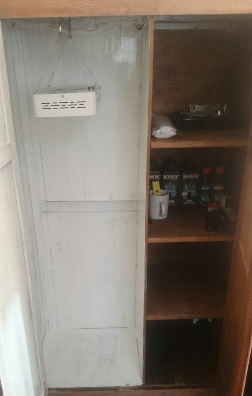 Pepper's new DIY wardrobe Gbox