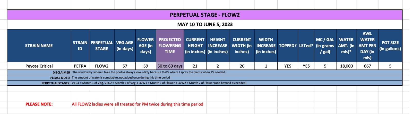 Peyote Critical (Petra) - May 10 to June 5, 2023.jpg