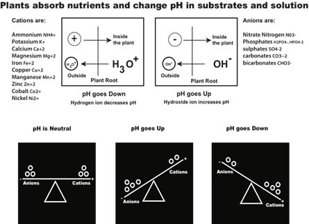 pH-change-image-site.jpg