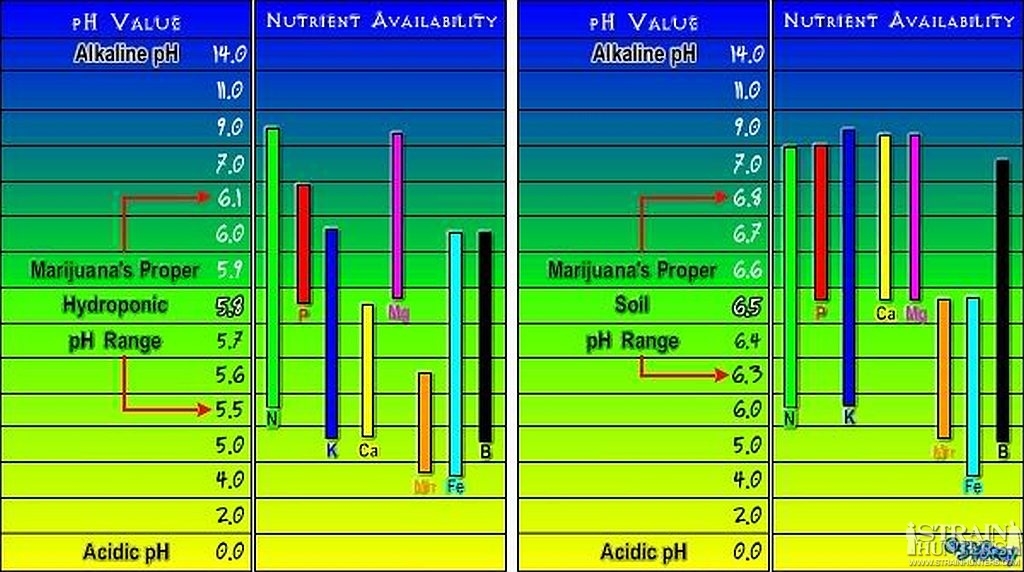 ph chart.jpg