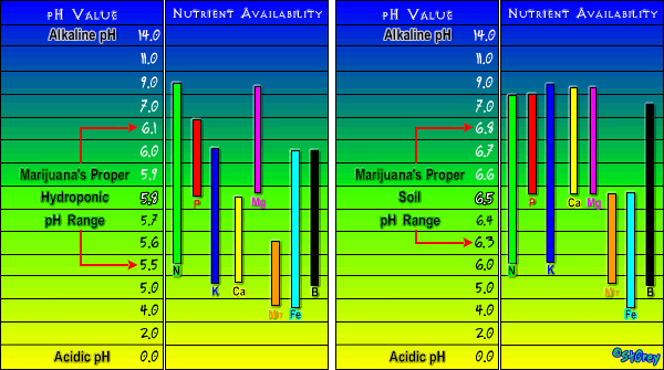 pH Chart