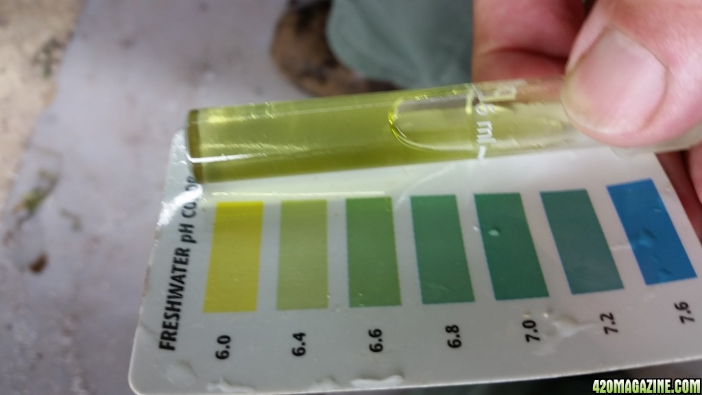 Ph down - 48 hrs test