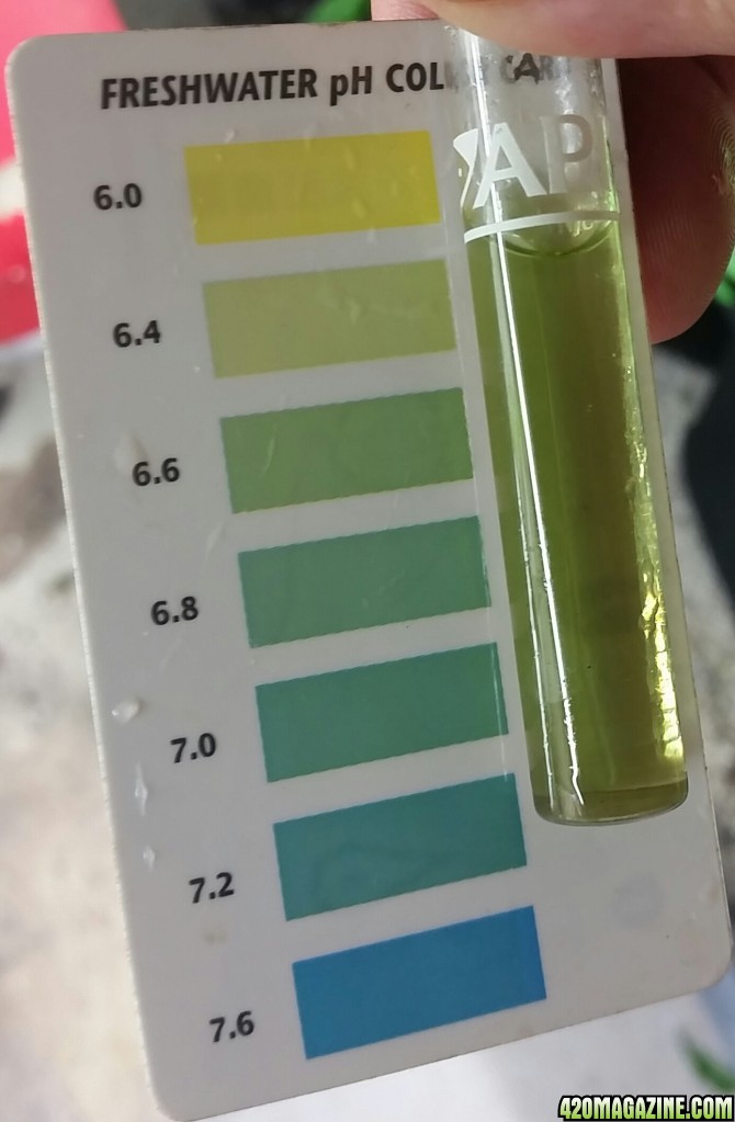 Ph down - 48 hrs test