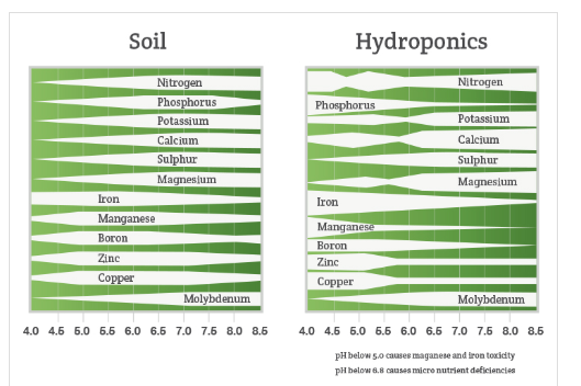 PH Nutrient Absorption.PNG