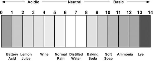 pH-scale-site.jpg