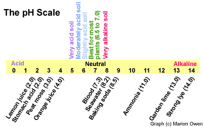 pH-scale