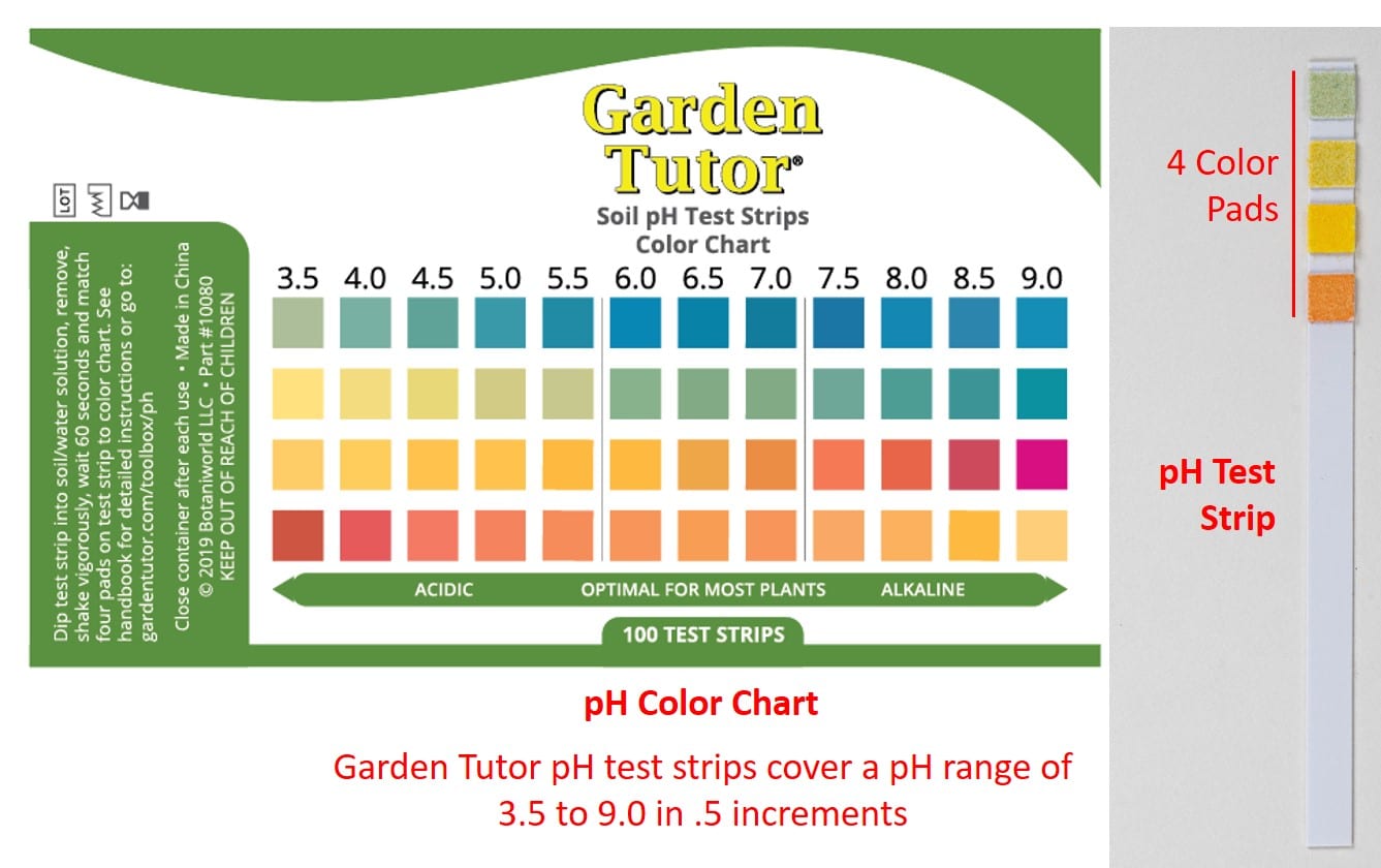 pH-Test-strip-and-color-chart.jpg