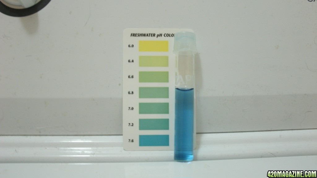 pH testing plain water