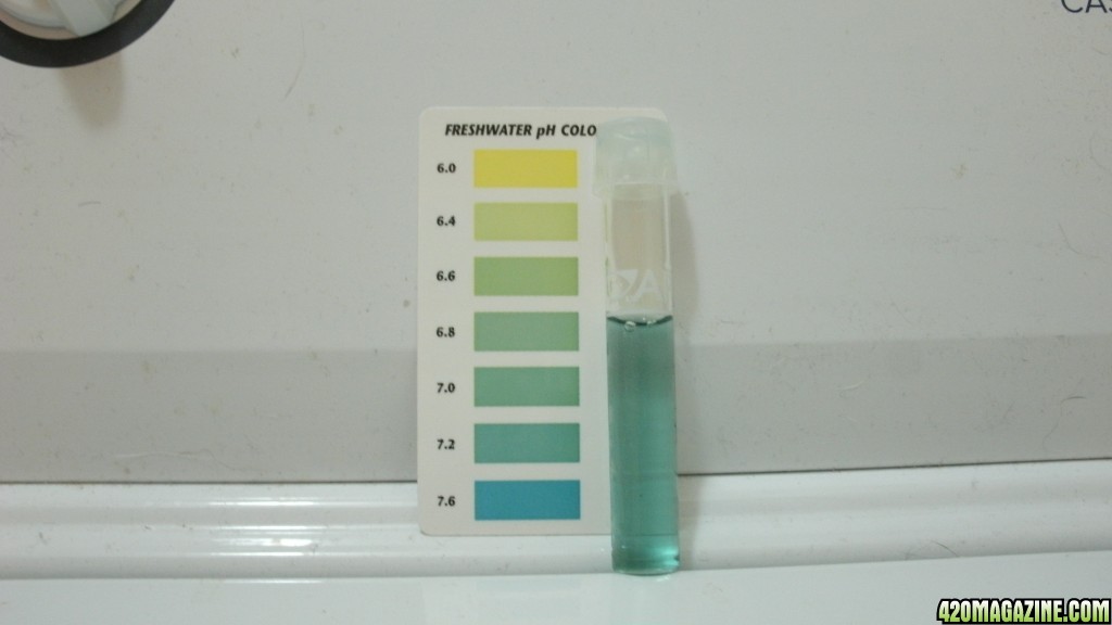 pH testing water with nutes