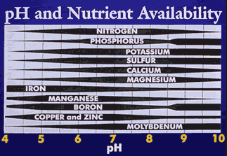 ph_availability_in_soil