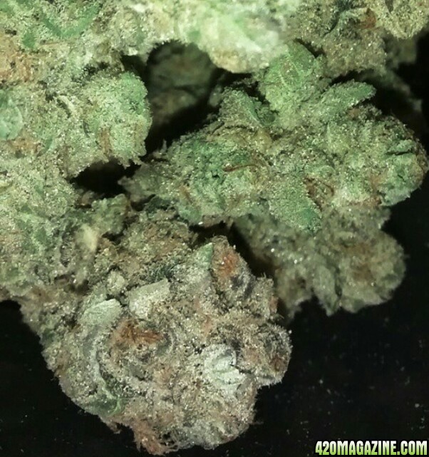 Phantom Cookies #1 &quot;CLOSE-UP&quot;