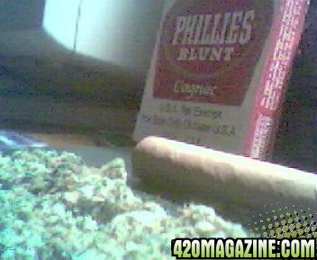 Phillie Blunt