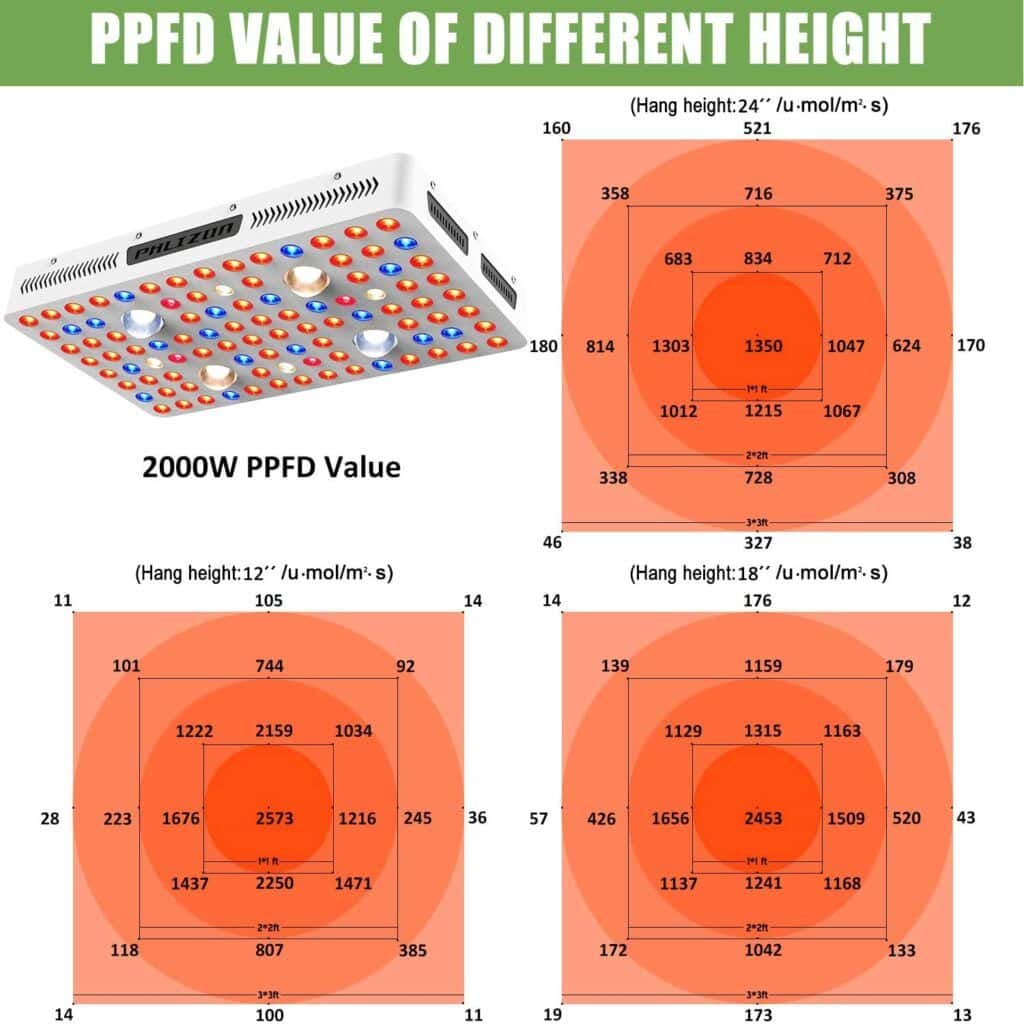 phlizon-2000w-cob-coverage-area-1-1024x1024.jpg