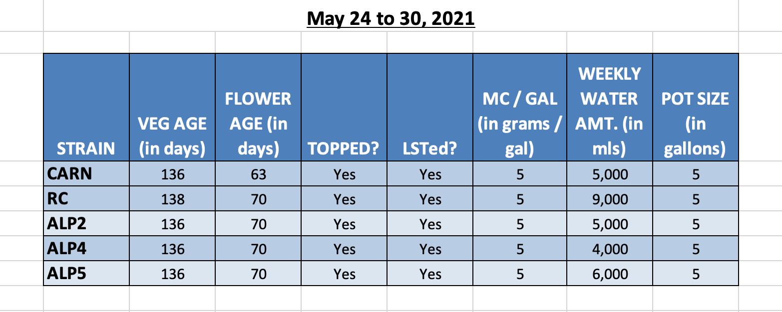 Photo 1 - Grow Info.jpg