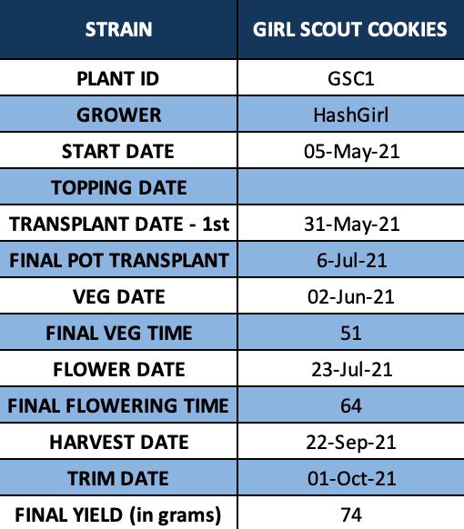 Photo 1 - GSC1 - Results.jpg